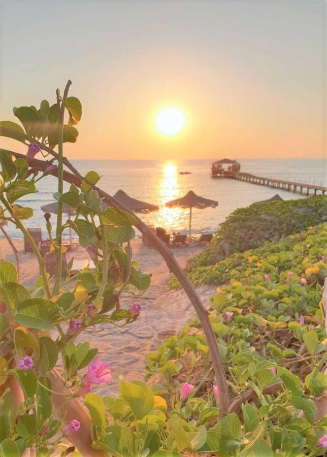 El Qoseir Rohanou Beach Resort מראה חיצוני תמונה